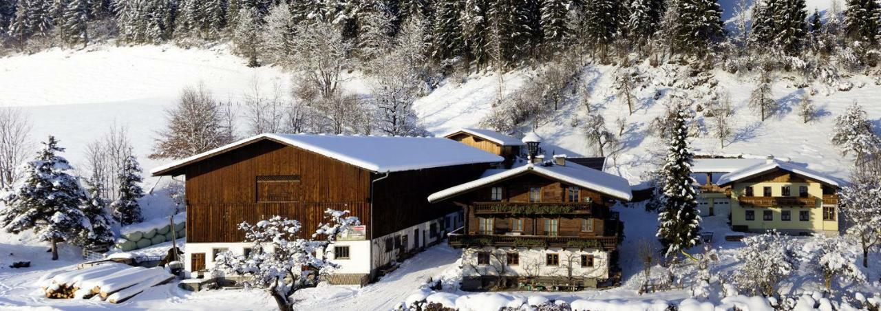 Grubhof Weissenbacher Altenmarkt im Pongau Luaran gambar