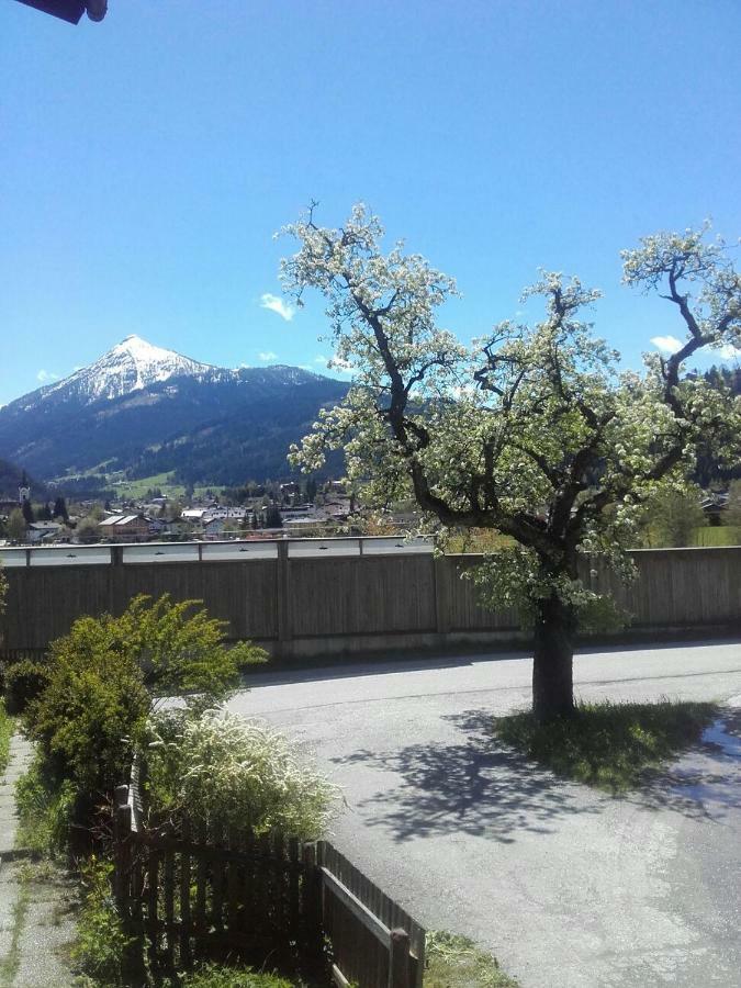 Grubhof Weissenbacher Altenmarkt im Pongau Luaran gambar